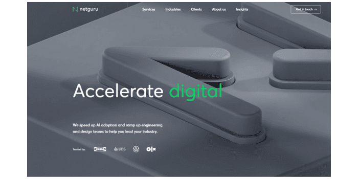 Netguru